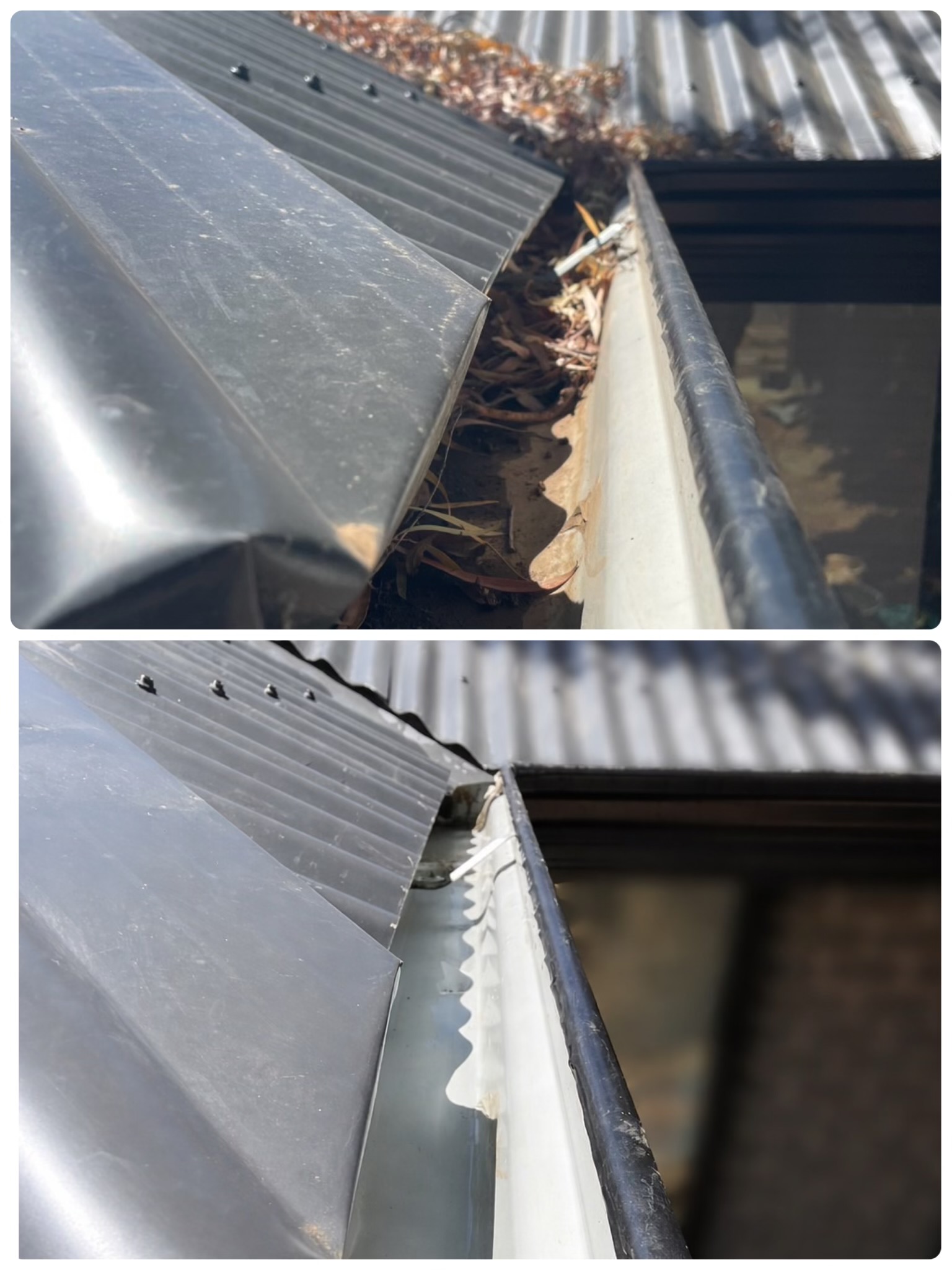 linecamera shareimage (1)