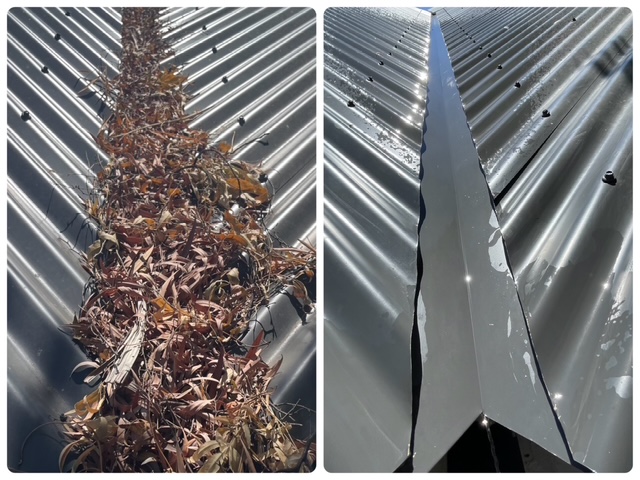 linecamera shareimage